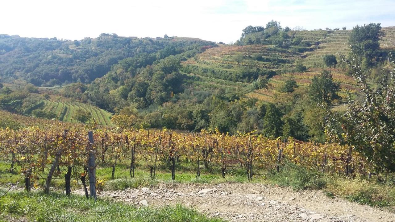 Farmstay Kmetija Stekar Kojsko 외부 사진