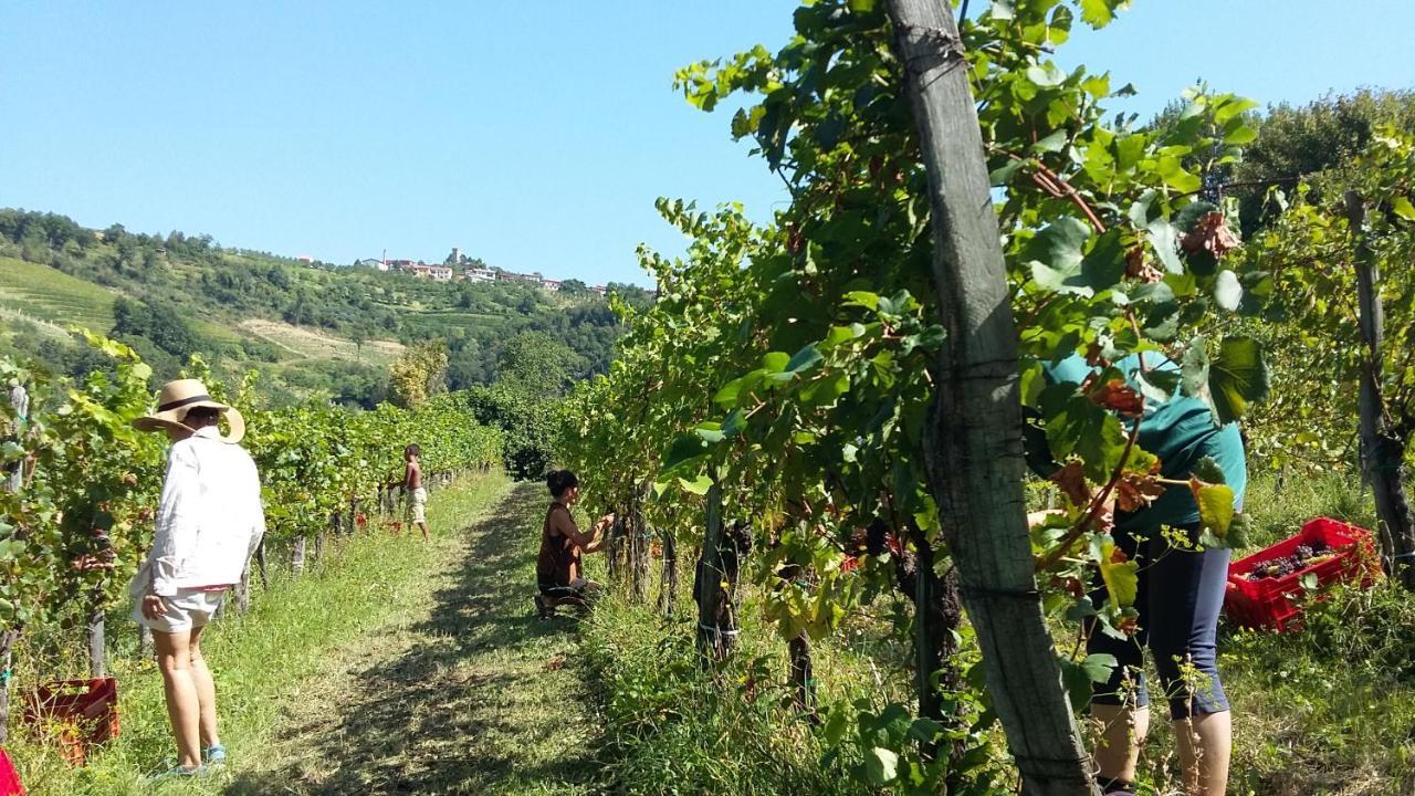 Farmstay Kmetija Stekar Kojsko 외부 사진