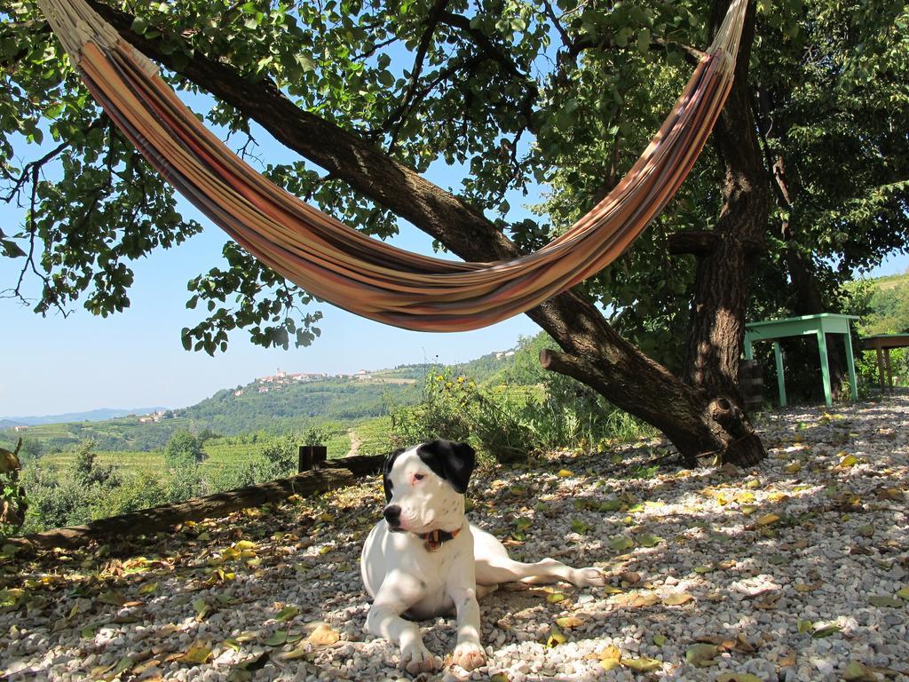Farmstay Kmetija Stekar Kojsko 외부 사진