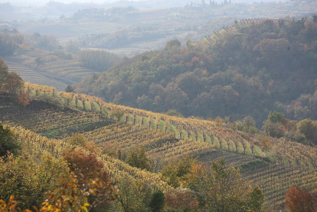 Farmstay Kmetija Stekar Kojsko 외부 사진