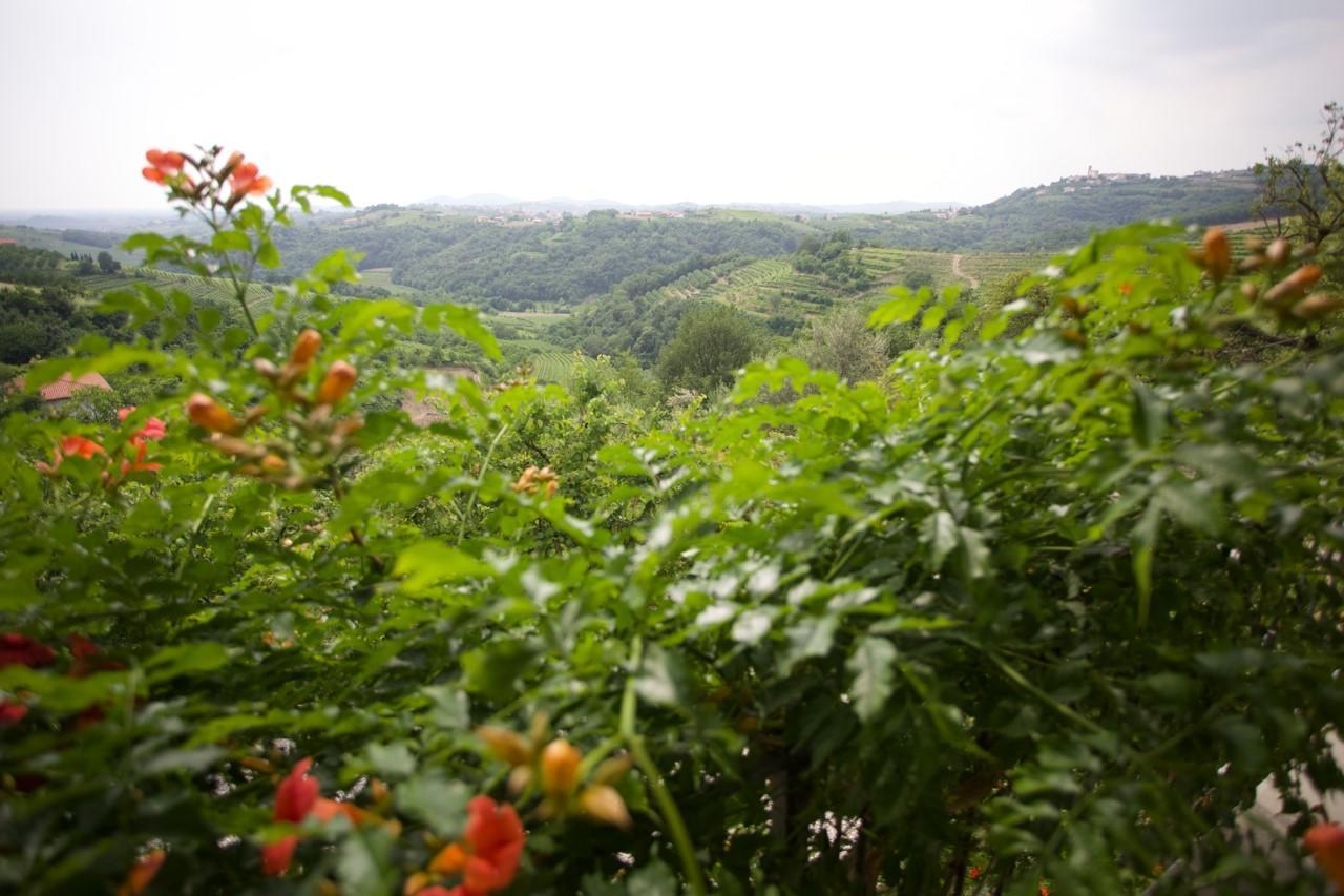 Farmstay Kmetija Stekar Kojsko 외부 사진
