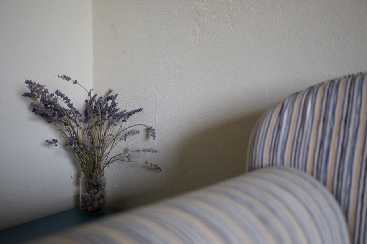 Farmstay Kmetija Stekar Kojsko 외부 사진